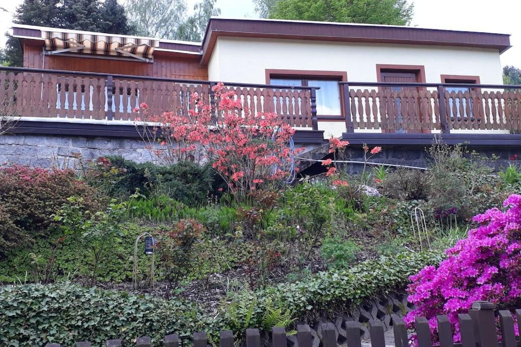 Bungalow Bluehende Oase Sebnitz Extérieur photo