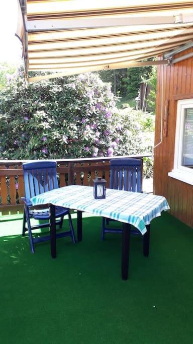 Bungalow Bluehende Oase Sebnitz Extérieur photo