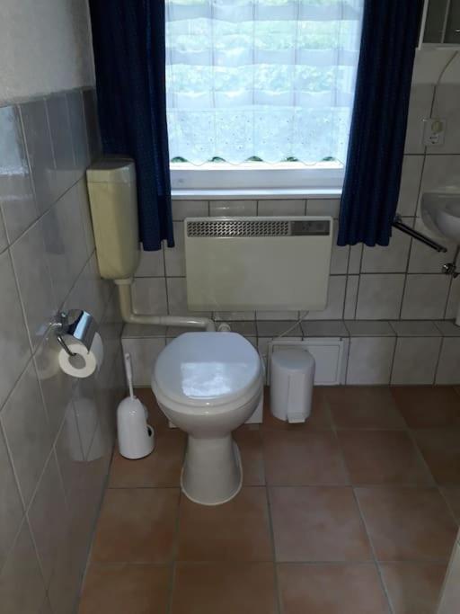 Bungalow Bluehende Oase Sebnitz Extérieur photo